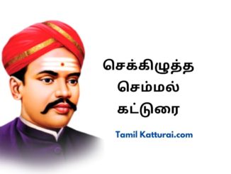 செக்கிழுத்த செம்மல் கட்டுரை