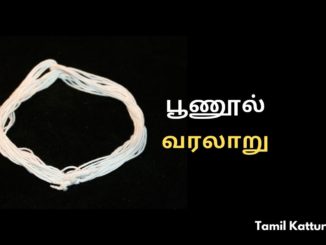 பூணூல் வரலாறு