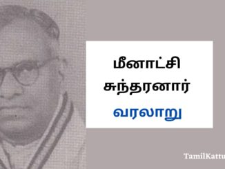 மீனாட்சி சுந்தரனார் வரலாறு