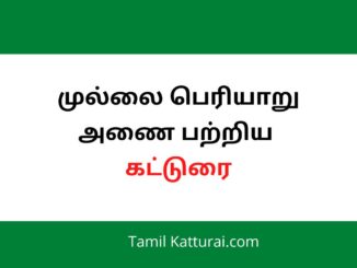 முல்லை பெரியாறு அணை பற்றிய கட்டுரை